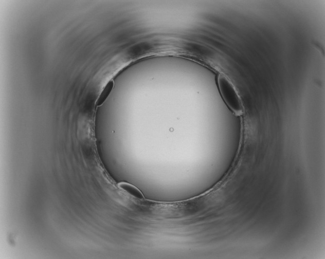 X0000102261481200808011353