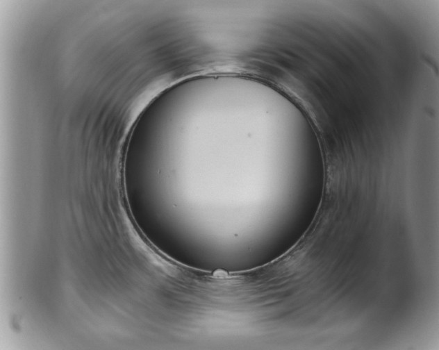 X0000102261483200808011353