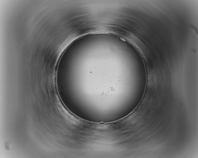 X0000102261484200808011353