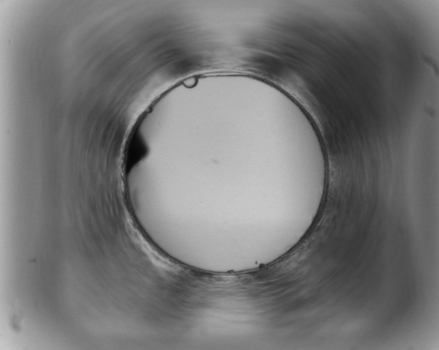 X0000102261485200808011353