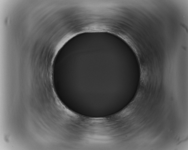 X0000102261486200808011353