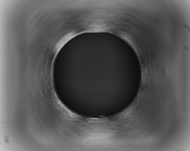 X0000102261487200808011353