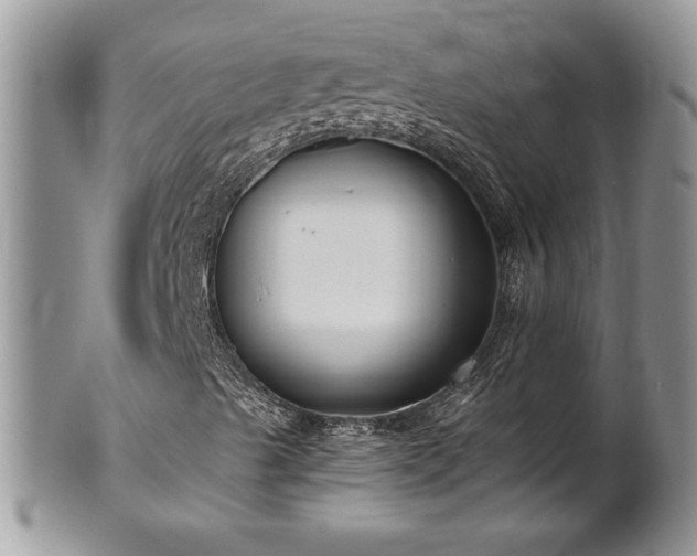 X0000102261489200808011352