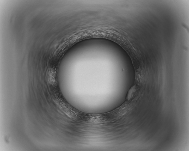 X0000102261490200808011352