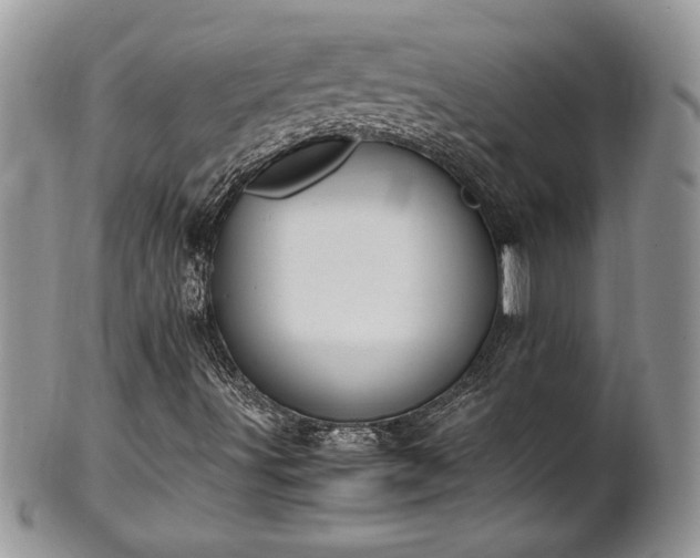 X0000102261491200808011352