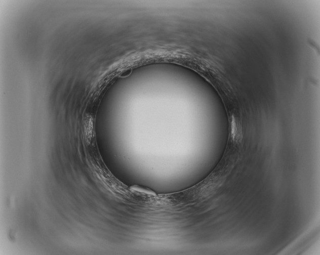 X0000102261492200808011352