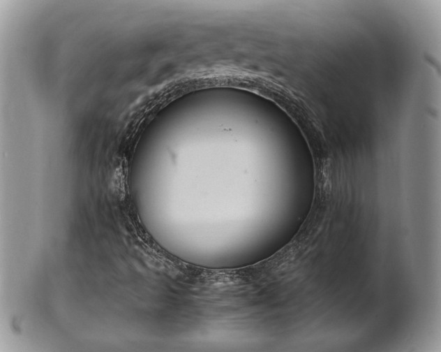 X0000102261493200808011352