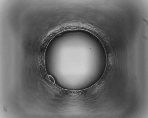 X0000102261494200808011352