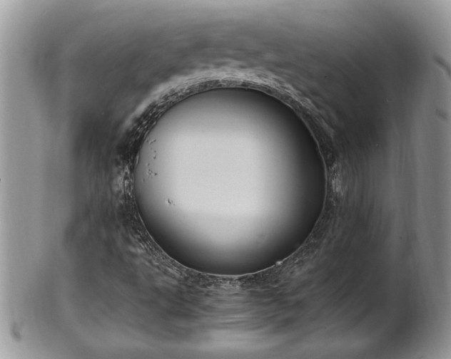 X0000102261495200808011352