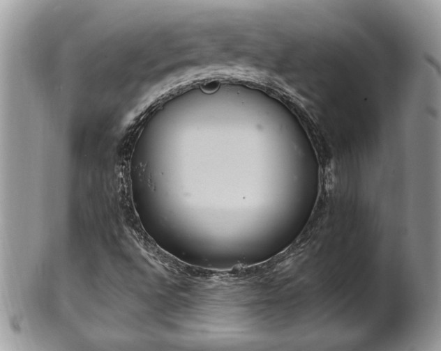 X0000102261496200808011352