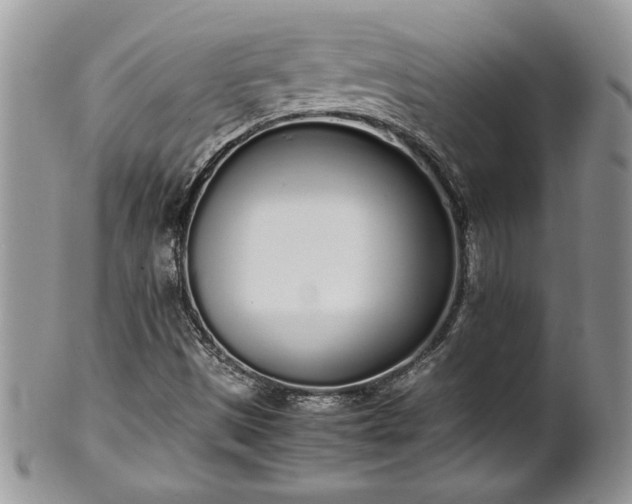 X0000102261497200808011352