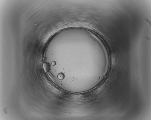 X0000102261498200808011352