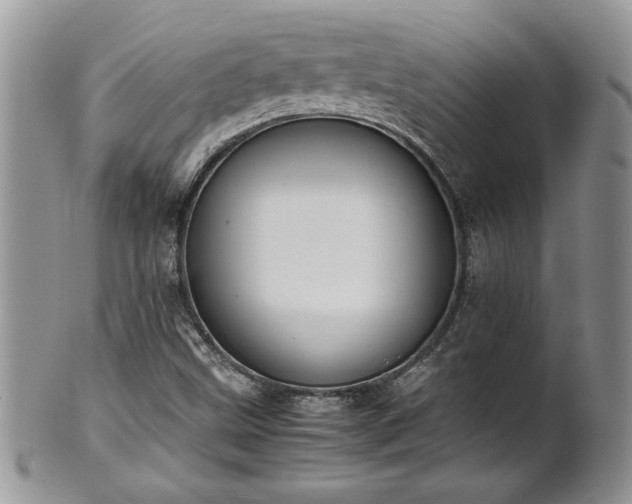 X0000102261499200808011352