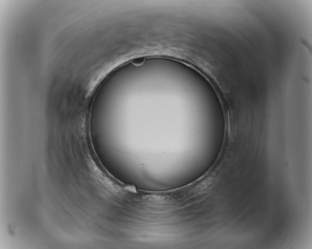 X0000102261500200808011352