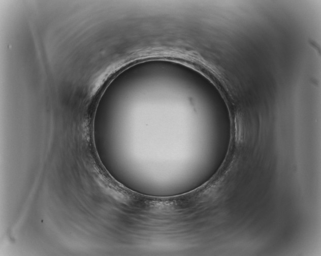 X0000102261501200808011352