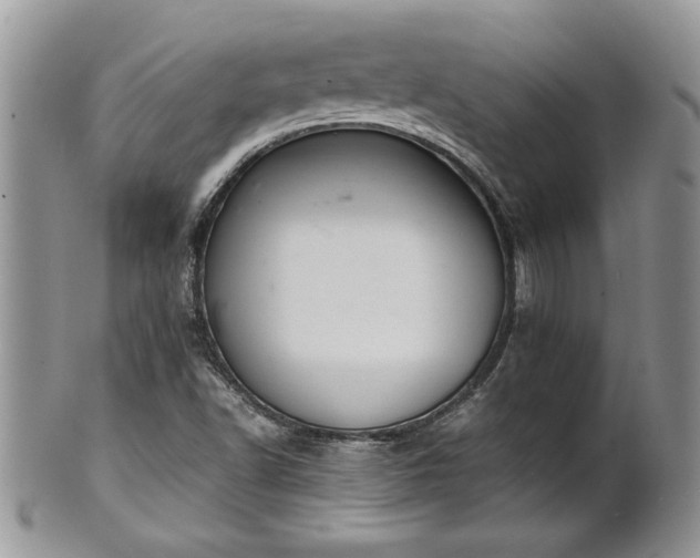 X0000102261502200808011352