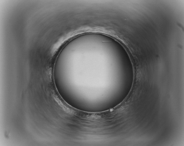 X0000102261503200808011352