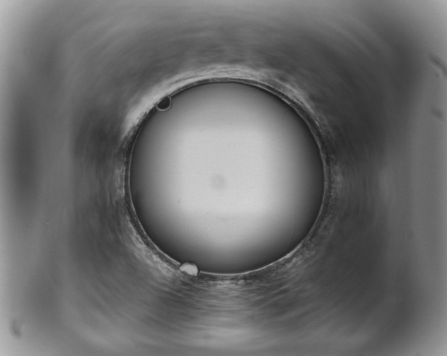 X0000102261504200808011352