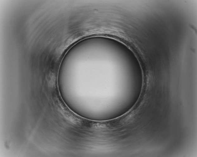 X0000102261505200808011352