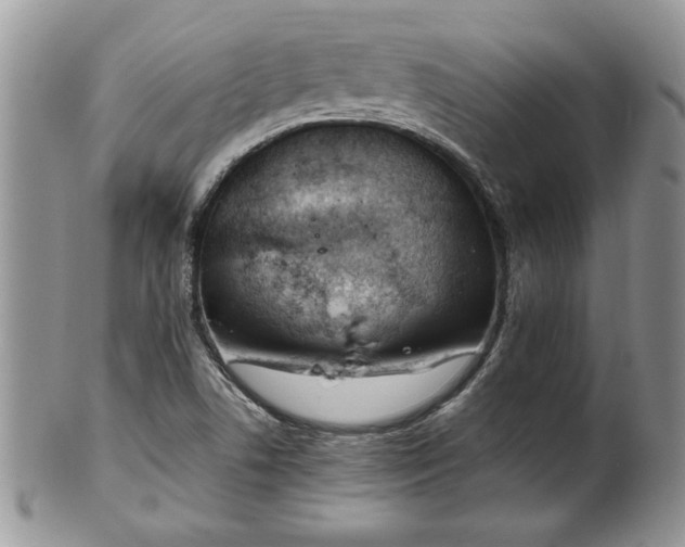 X0000102261506200808011352