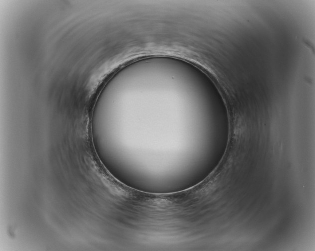 X0000102261507200808011352