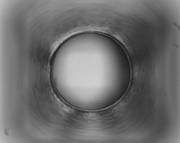 X0000102261508200808011352