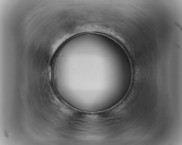 X0000102261509200808011352