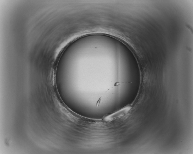 X0000102261510200808011352