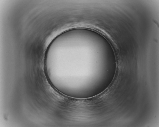 X0000102261512200808011352