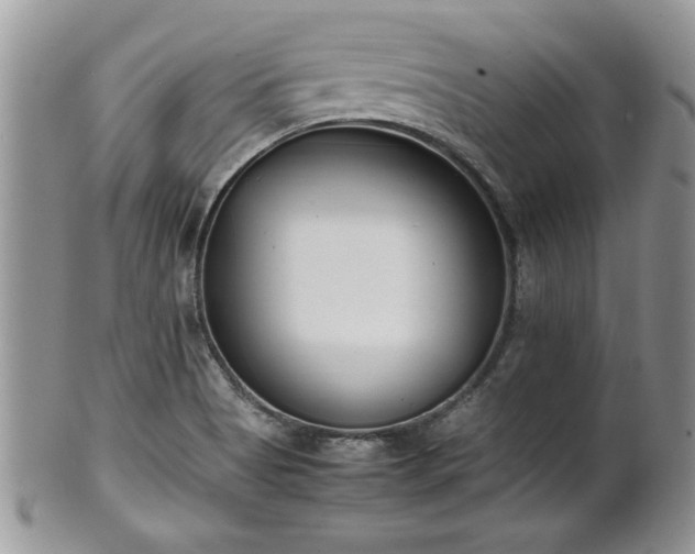 X0000102261513200808011352