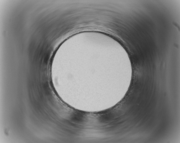 X0000102261514200808011352