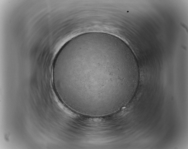 X0000102261515200808011352