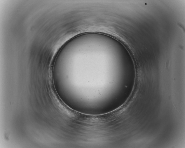 X0000102261517200808011352