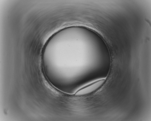 X0000102261518200808011353