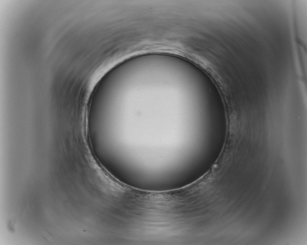 X0000102261520200808011353