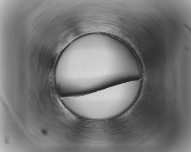 X0000102261521200808011353