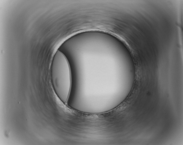 X0000102261524200808011353