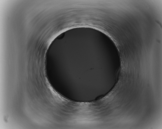 X0000102261534200808011353