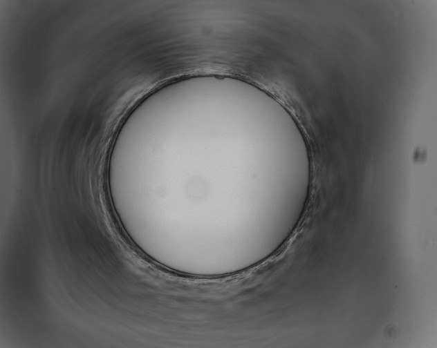 X0000102260001200808081412