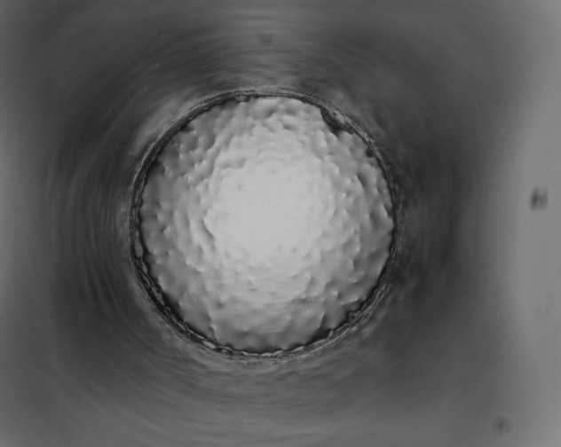 X0000102260002200808081412