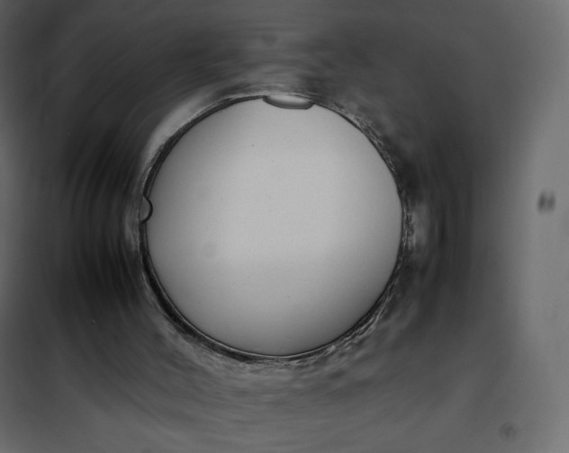 X0000102260004200808081412