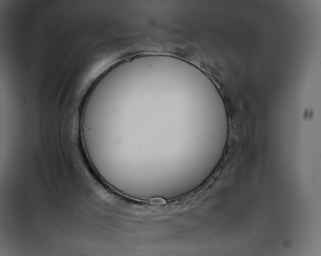 X0000102260005200808081412