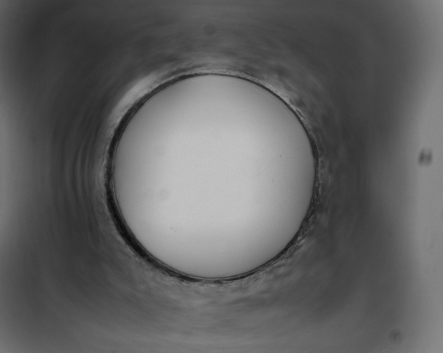 X0000102260007200808081412