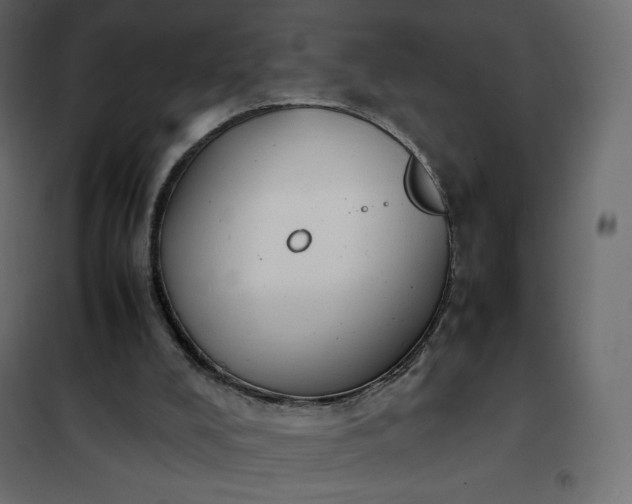 X0000102260008200808081412