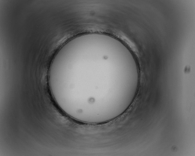 X0000102260009200808081412