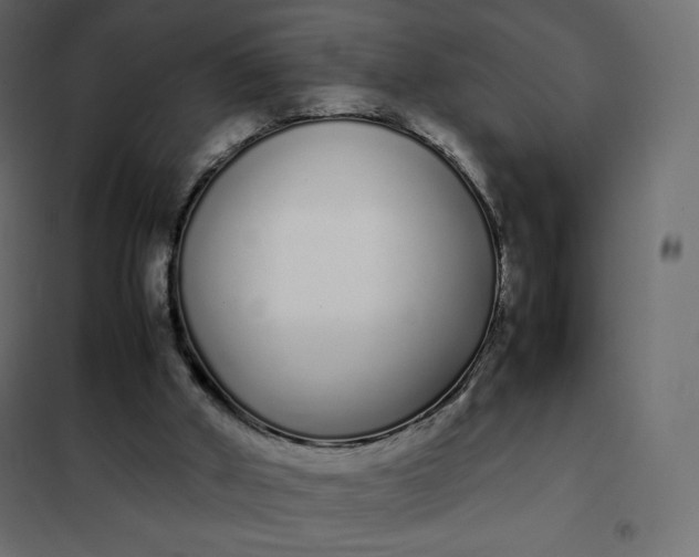 X0000102260010200808081412