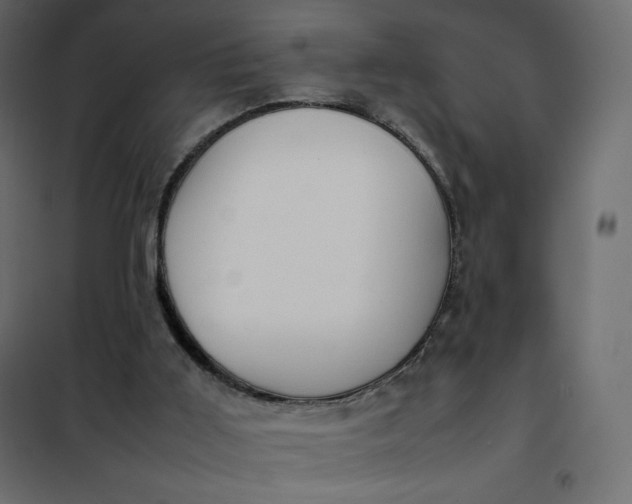 X0000102260011200808081412