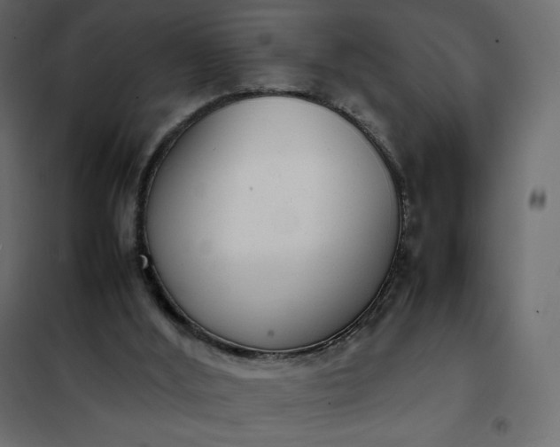 X0000102260012200808081412