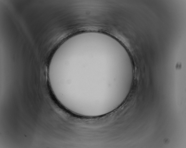 X0000102260013200808081412