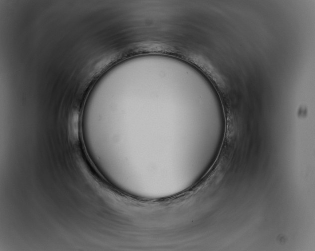 X0000102260014200808081412